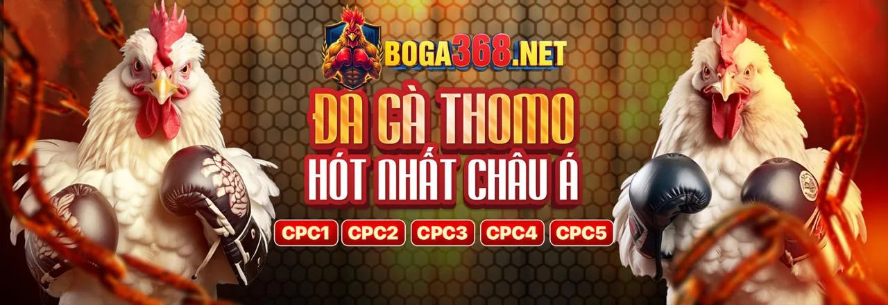 Đá gà trực tuyến kịch tính tại G6BET Chính Thức